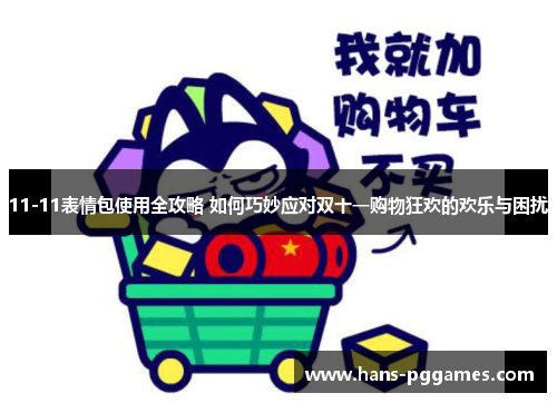 11-11表情包使用全攻略 如何巧妙应对双十一购物狂欢的欢乐与困扰