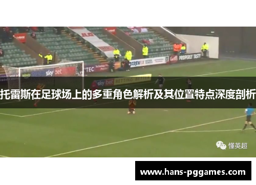 托雷斯在足球场上的多重角色解析及其位置特点深度剖析