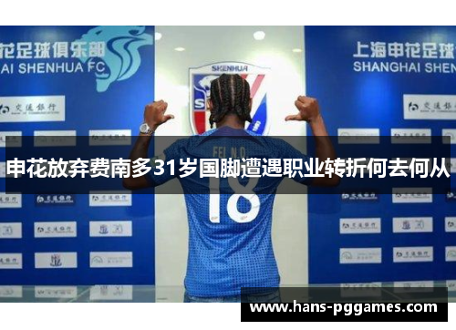 申花放弃费南多31岁国脚遭遇职业转折何去何从