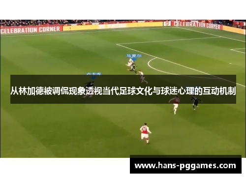 从林加德被调侃现象透视当代足球文化与球迷心理的互动机制