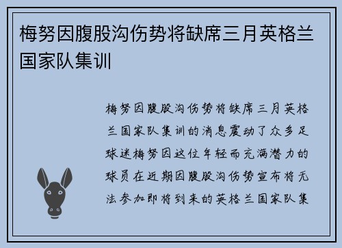 梅努因腹股沟伤势将缺席三月英格兰国家队集训